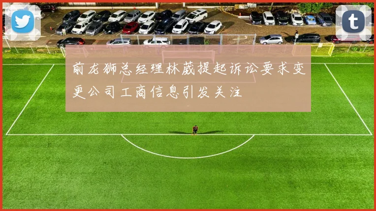 前龙狮总经理林葳提起诉讼要求变更公司工商信息引发关注